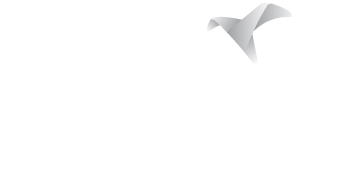 Proyecto Nesta